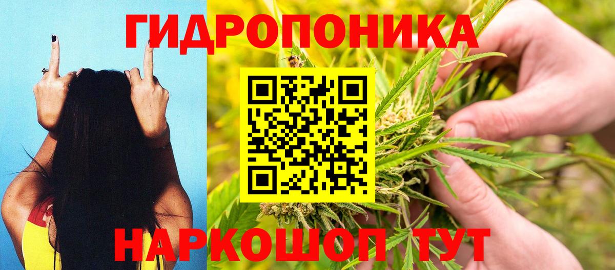 Бошки марихуана план Серов